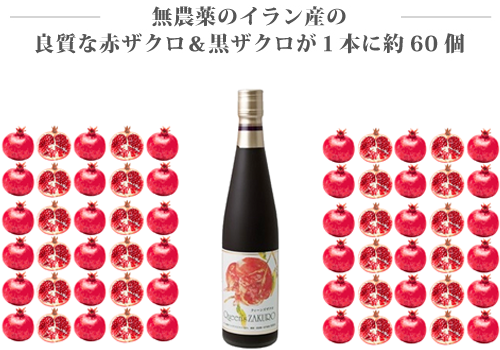 無農薬のペルシャ産の良質なザクロが1本に約60個