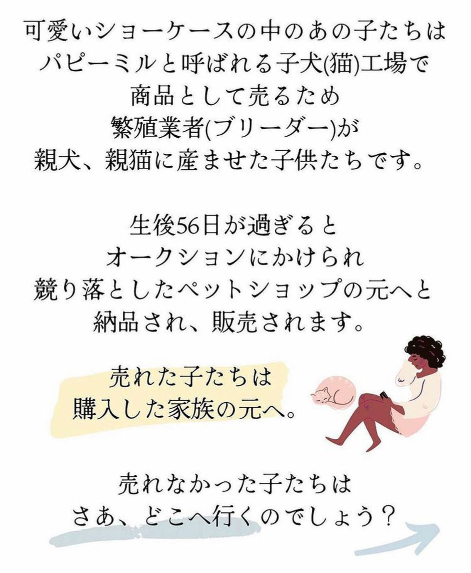 松島花さんインスタ　ペットショップの話し