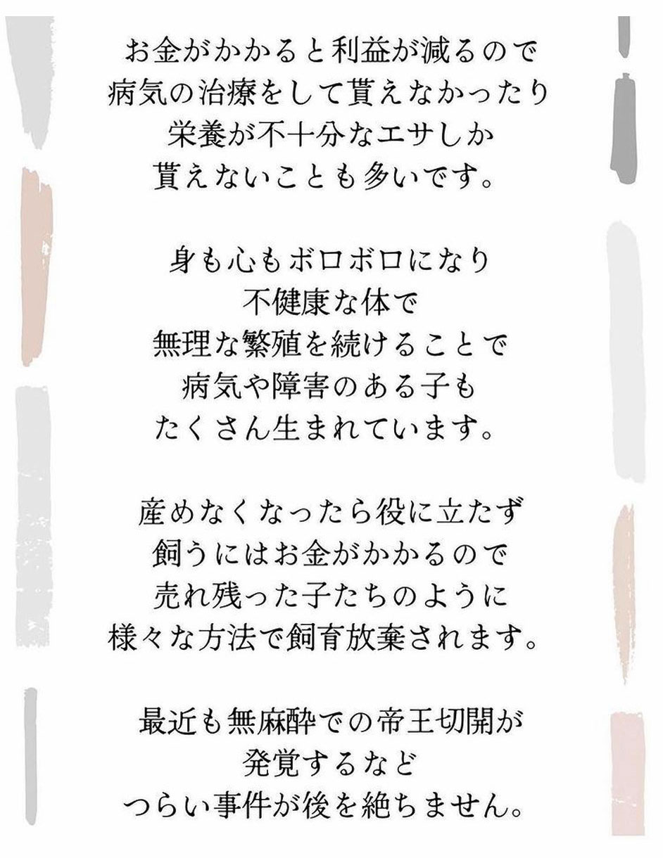 松島花さんインスタ　ペットショップの話し