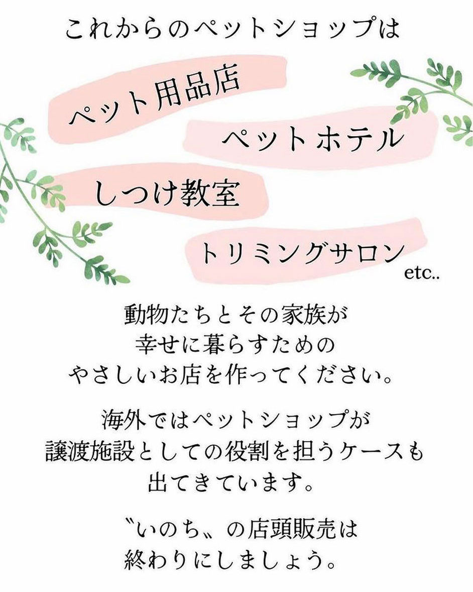 松島花さんインスタ　ペットショップの話し