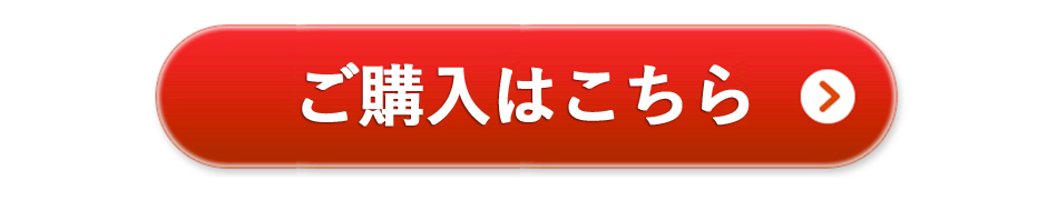 ご購入はこちら